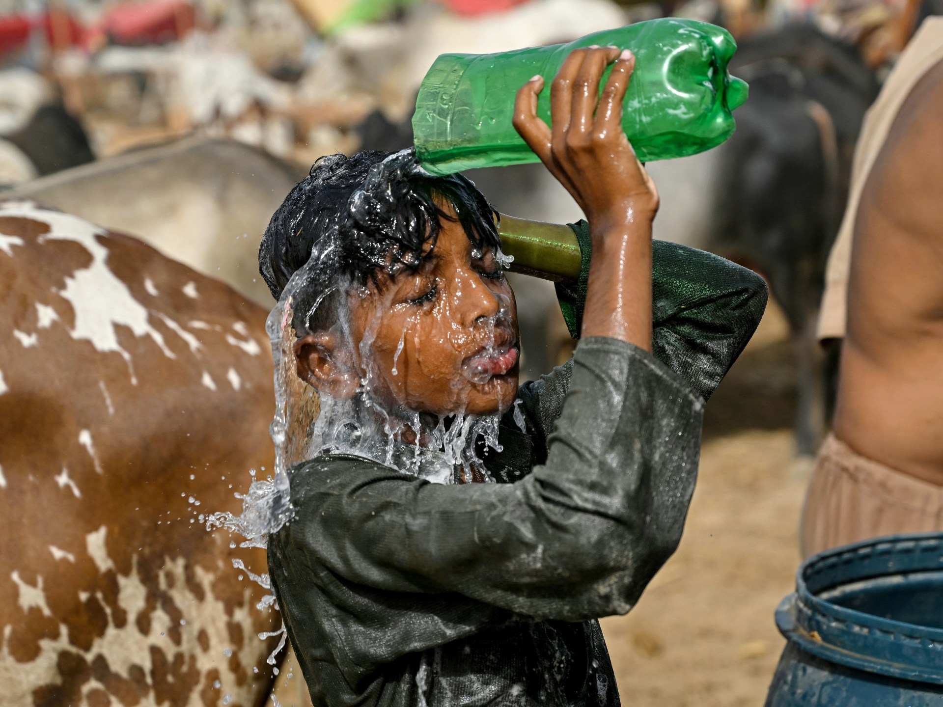 month-of-may-was-world’s-second-warmest-on-record:-eu-scientists