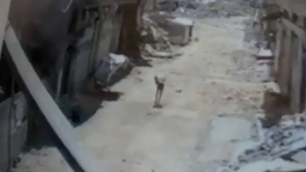 video:-israeli-drone-kills-palestinian-carrying-sack-of-flour