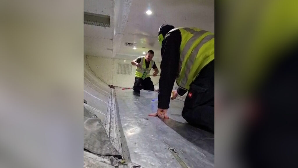 snake-on-a-plane-delays-flight-in-australia-by-two-hours