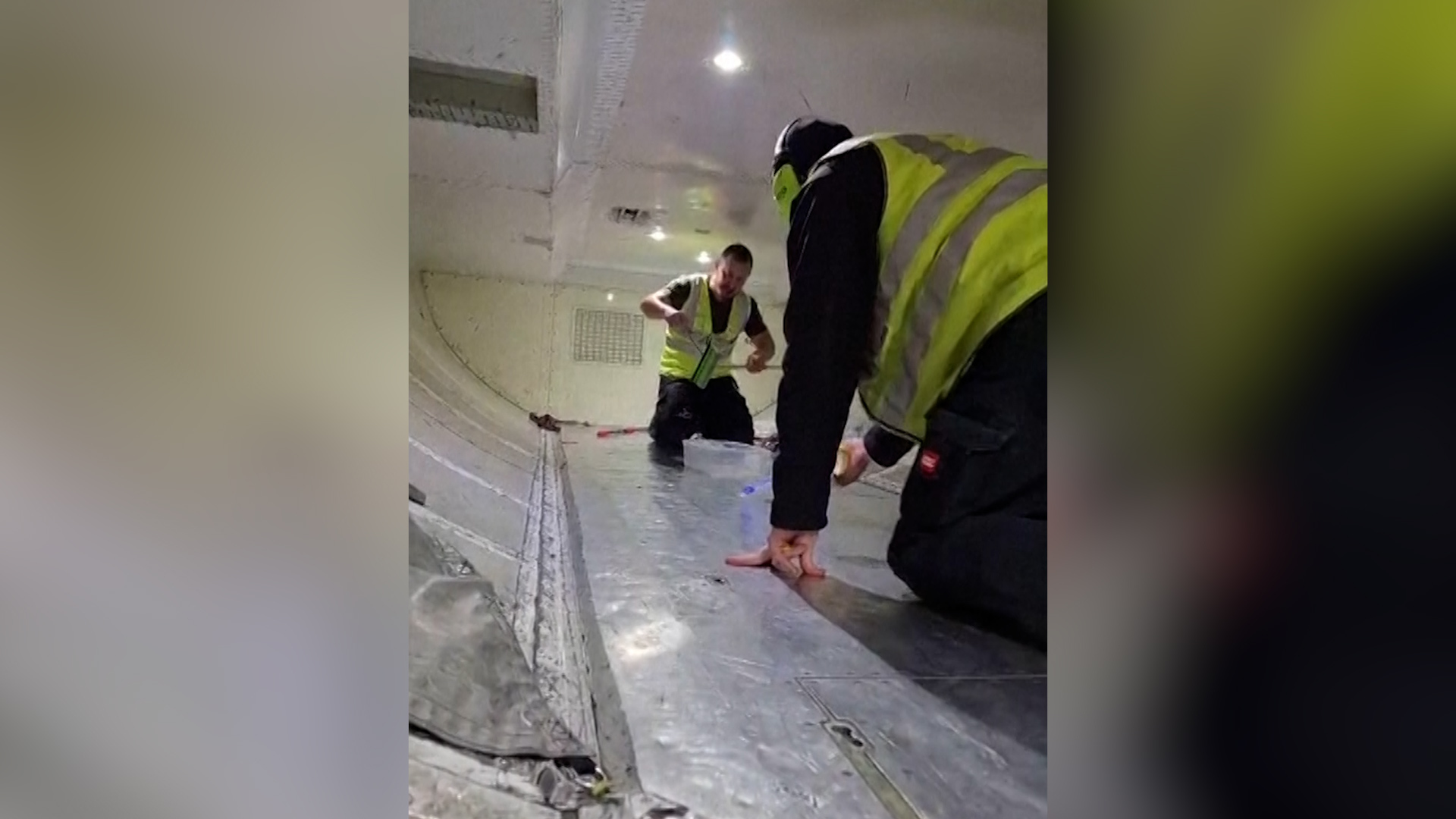 snake-on-a-plane-delays-flight-in-australia-by-two-hours