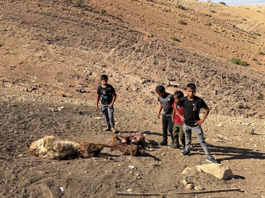 palestinian-child-shot-dead-in-west-bank-by-israeli-forces-amid-land-grabs