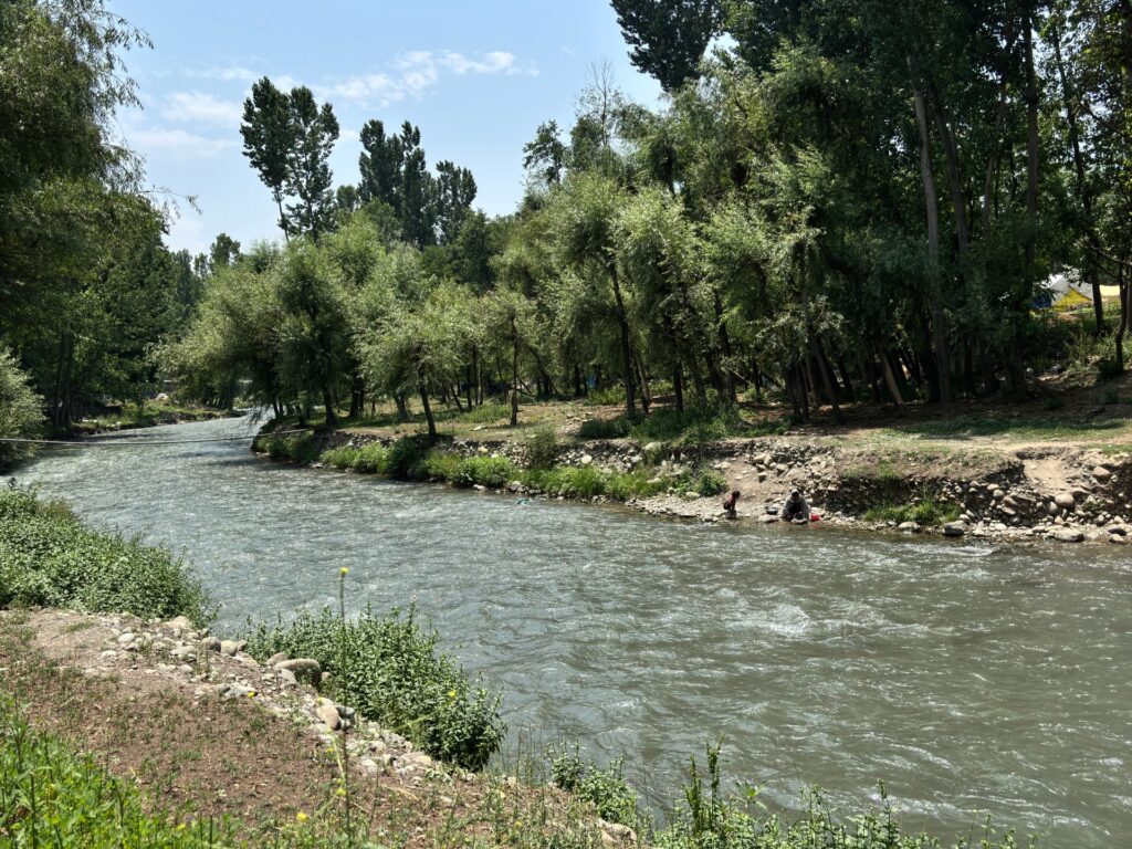 otters-spotted-in-kashmir-waters,-and-residents-are-both-thrilled-and-wary