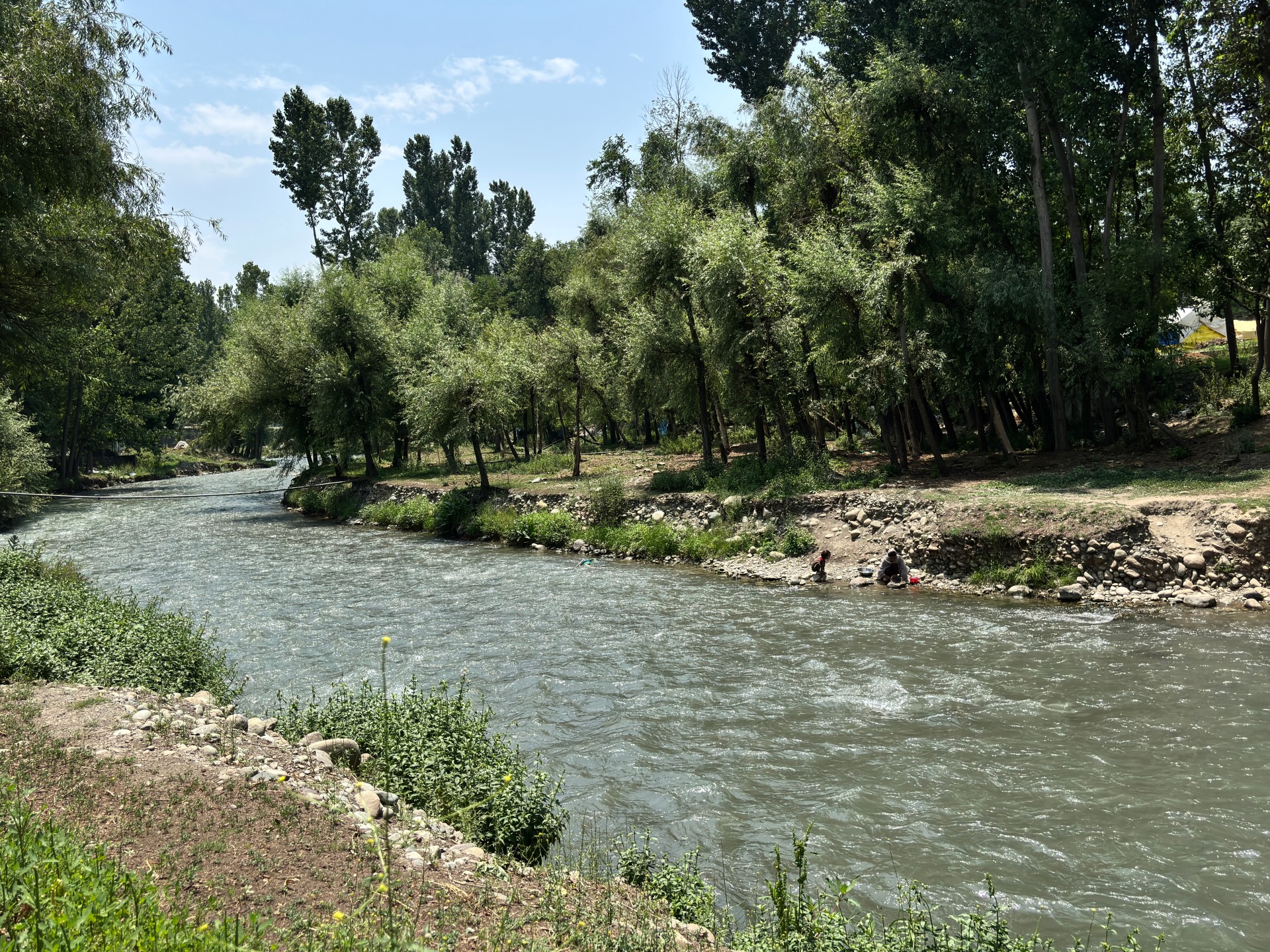 otters-spotted-in-kashmir-waters,-and-residents-are-both-thrilled-and-wary