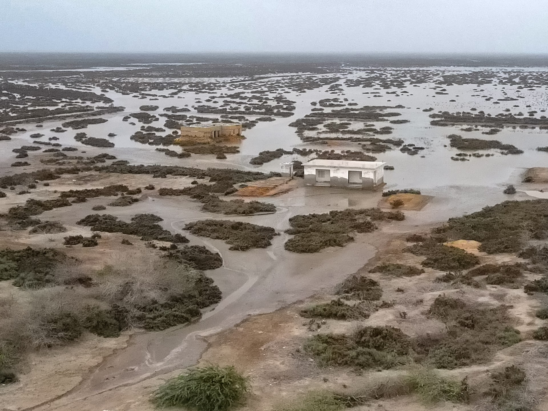 ‘water-has-surrounded-us’:-the-slow-death-of-pakistan’s-indus-delta