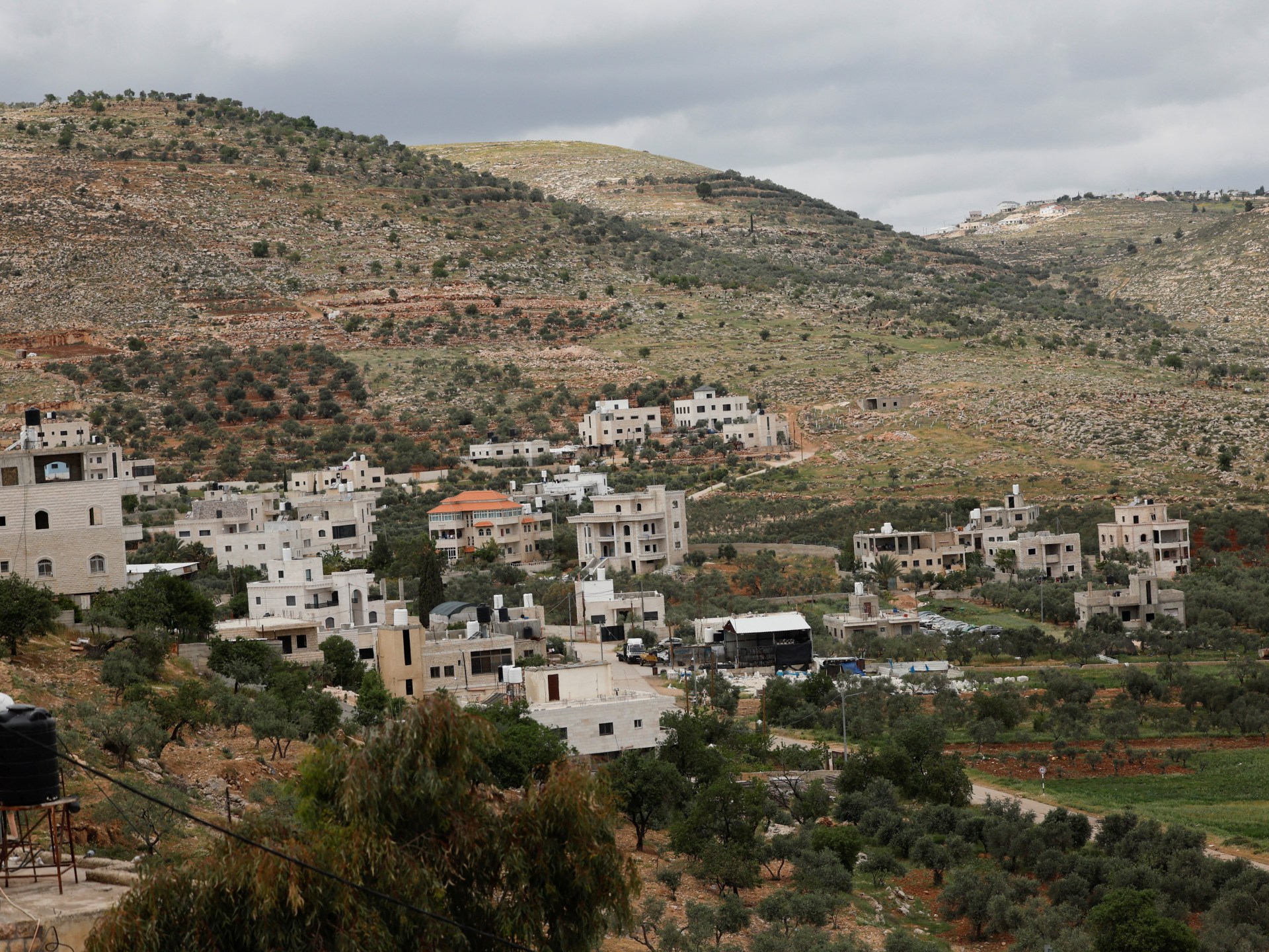 israeli-military-uproots-thousands-of-palestinian-olive-trees-in-west-bank