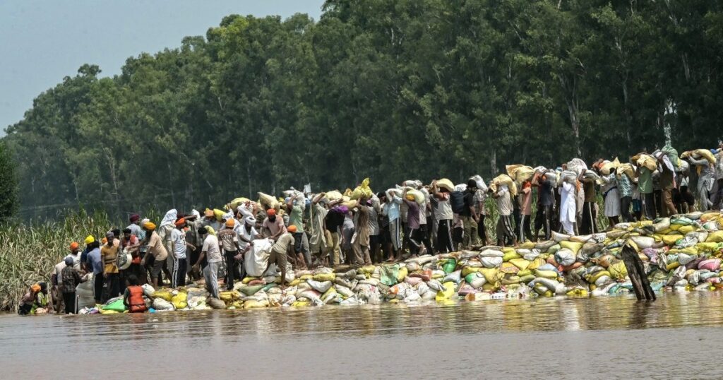 ‘restart-from-scratch’:-flood-hit-indian-farmers-look-at-swelling-losses