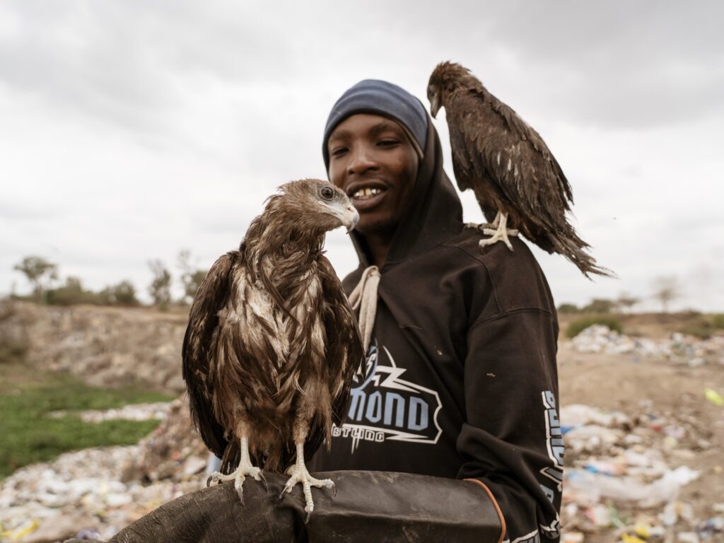 nairobi’s-‘birdman’:-rescuing-raptors-on-the-streets-of-kenya’s-capital