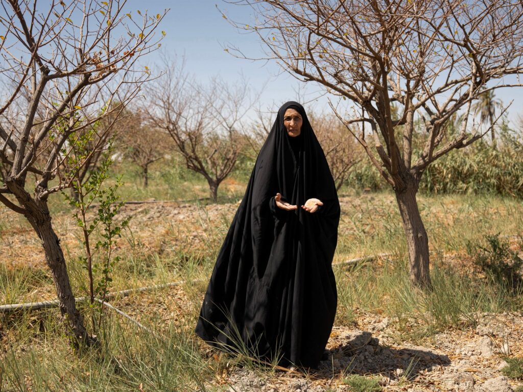 water-salinity-hurting-farmers,-livestock-in-iraq