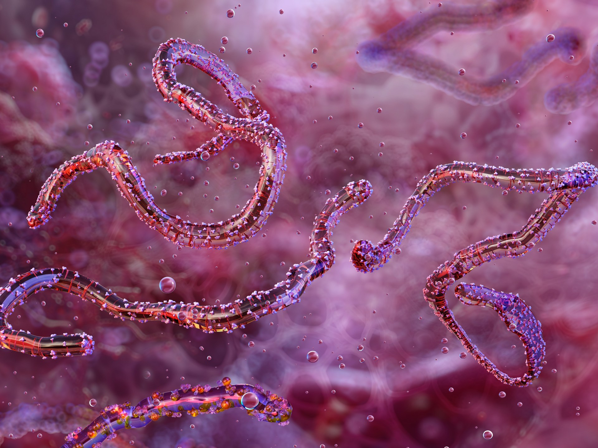 ethiopia-confirms-first-outbreak-of-marburg-virus