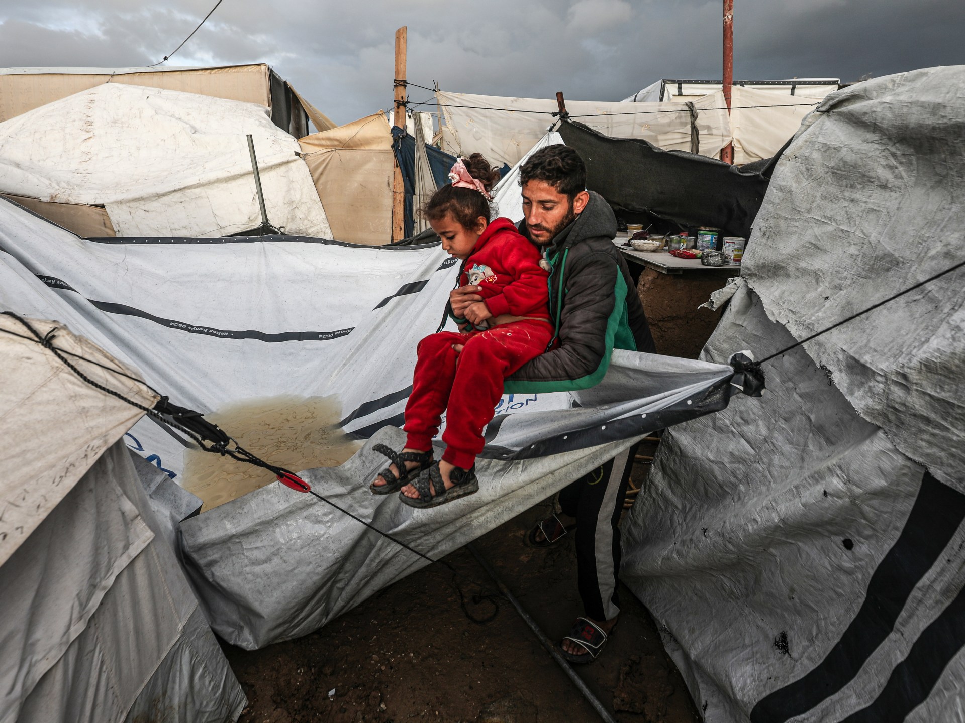 un’s-albanese:-israel-treats-storm-hit-palestinians-of-gaza-as-‘expendable’