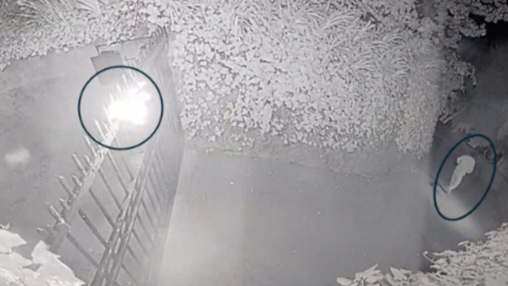 man-charged-with-attempted-murder-of-openai-ceo-sam-altman