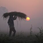 as-iran-crisis-drags-on,-fears-of-global-food-crisis-grow