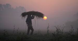 as-iran-crisis-drags-on,-fears-of-global-food-crisis-grow