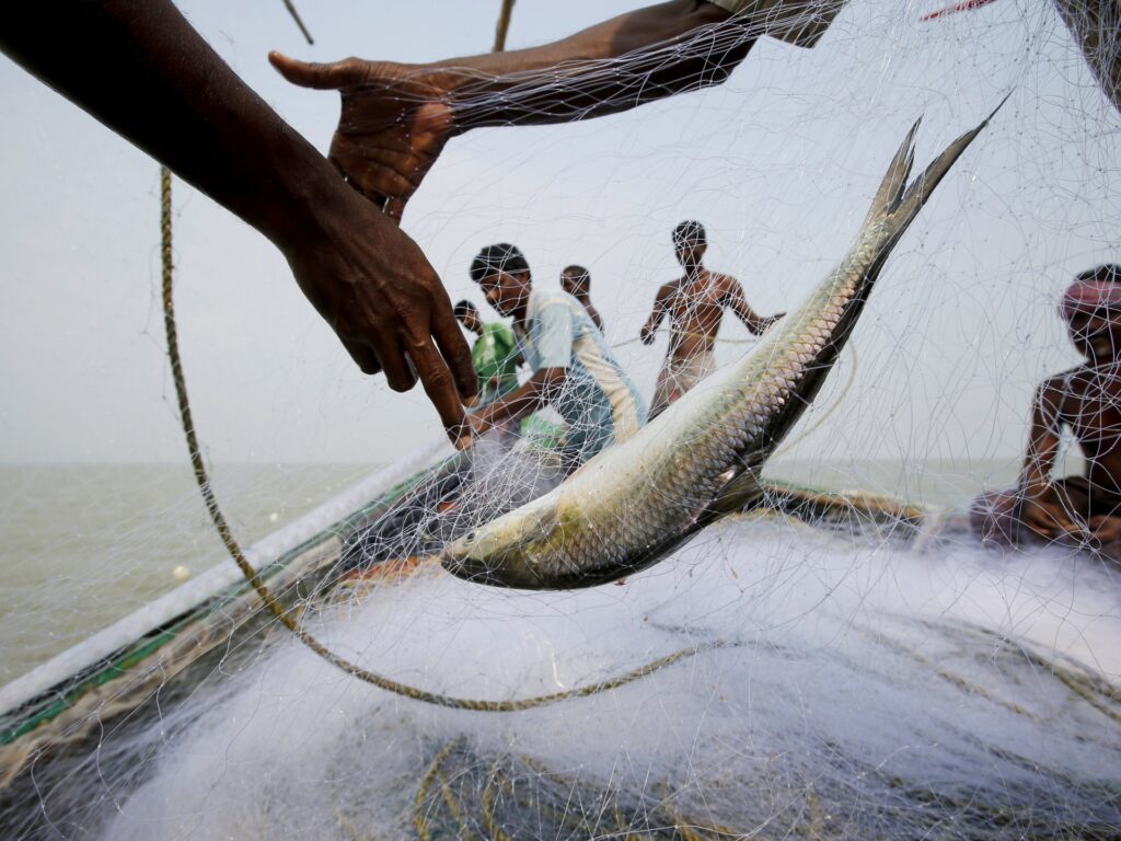 can-fish-hook-voters-in-india’s-west-bengal-elections?