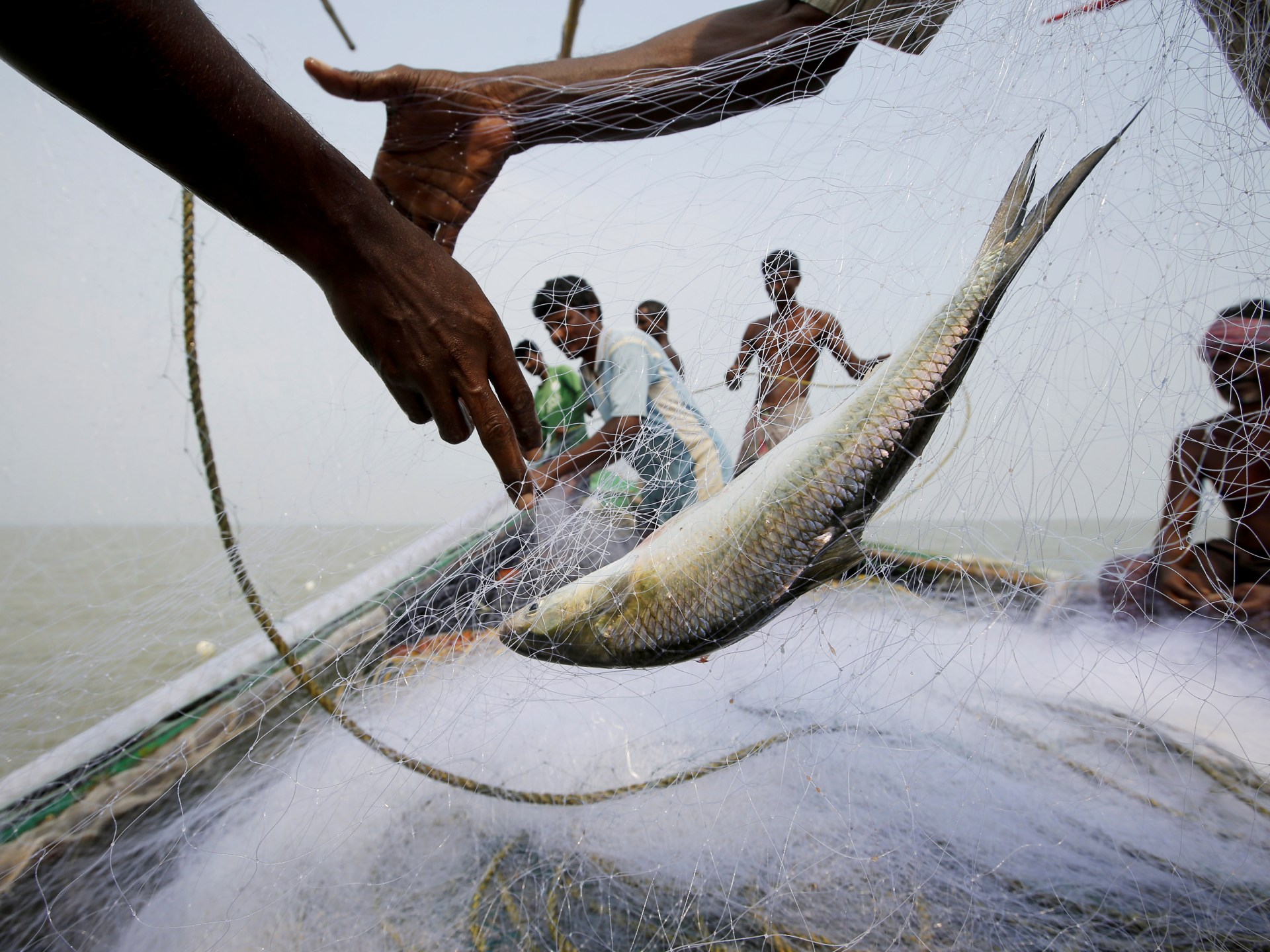 can-fish-hook-voters-in-india’s-west-bengal-elections?