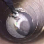 3-year-old-rescued-after-falling-into-18-metre-deep-well-in-syria