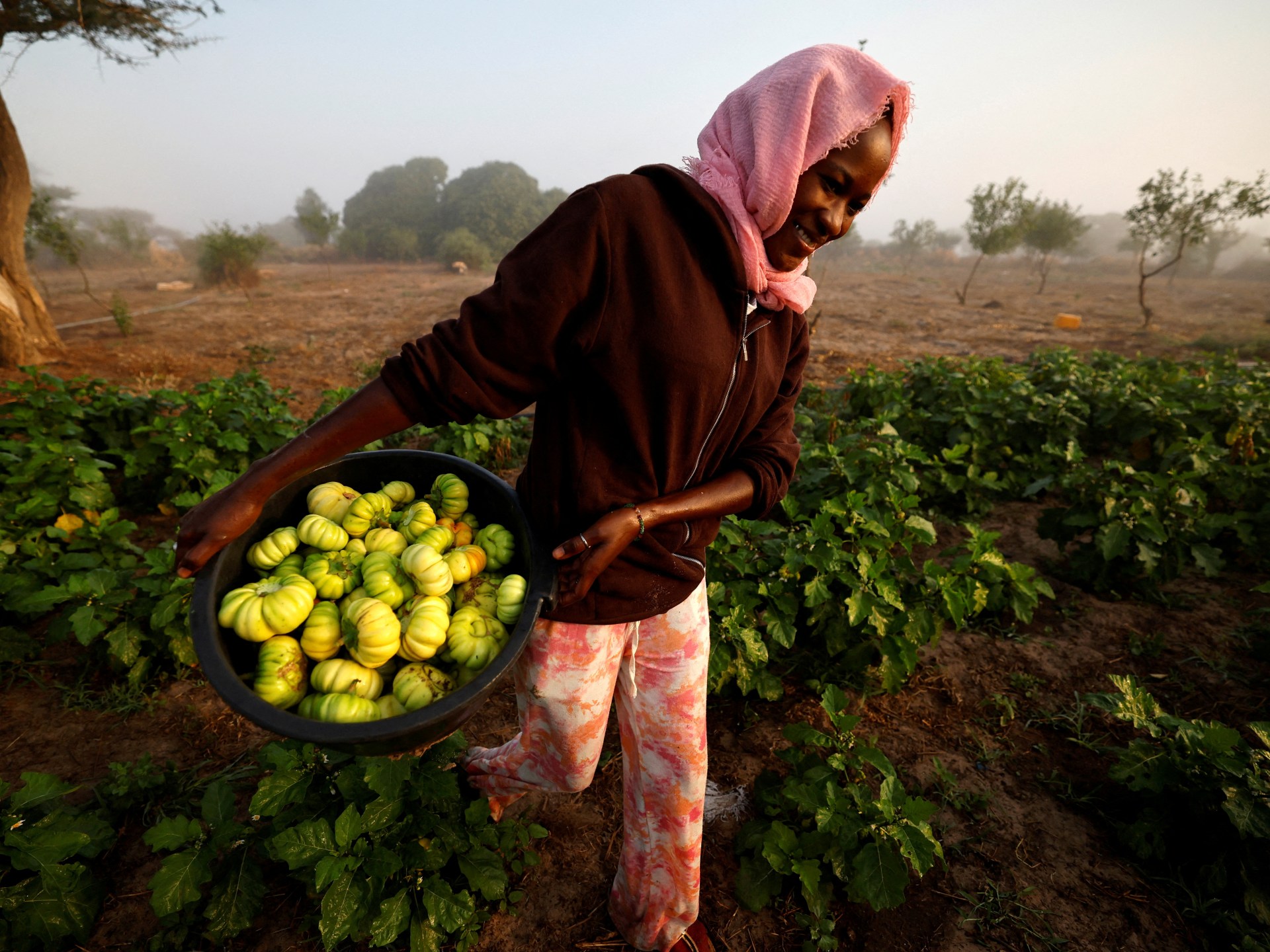 amid-the-fertiliser-crisis,-africa-has-a-chemical-free-option:-agroecology