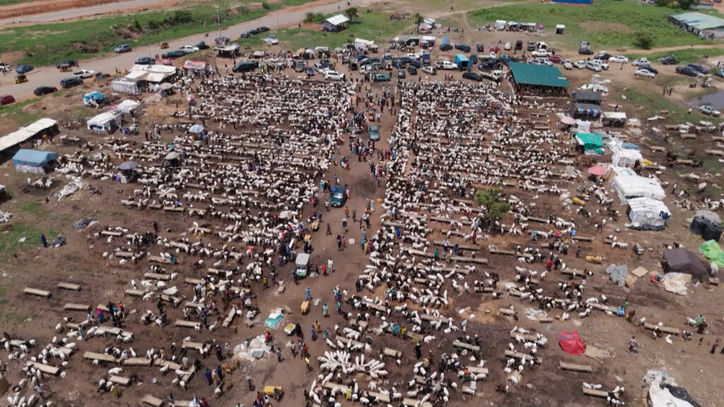 nigeria’s-eid-crisis:-when-a-ram-becomes-a-luxury