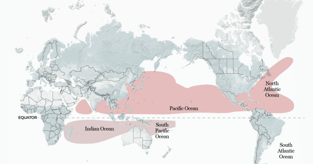 how-could-el-nino-reshape-tropical-storms-around-the-world-this-year?