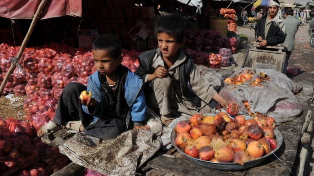 what-afghanistan’s-rotten-apples-tell-us-about-its-non-profit-sector