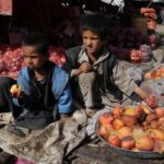 what-afghanistan’s-rotten-apples-tell-us-about-its-non-profit-sector