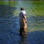 why-washington’s-reflecting-pool-has-gone-from-‘us-blue’-to-algae-green