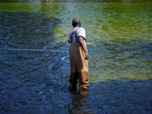 why-washington’s-reflecting-pool-has-gone-from-‘us-blue’-to-algae-green