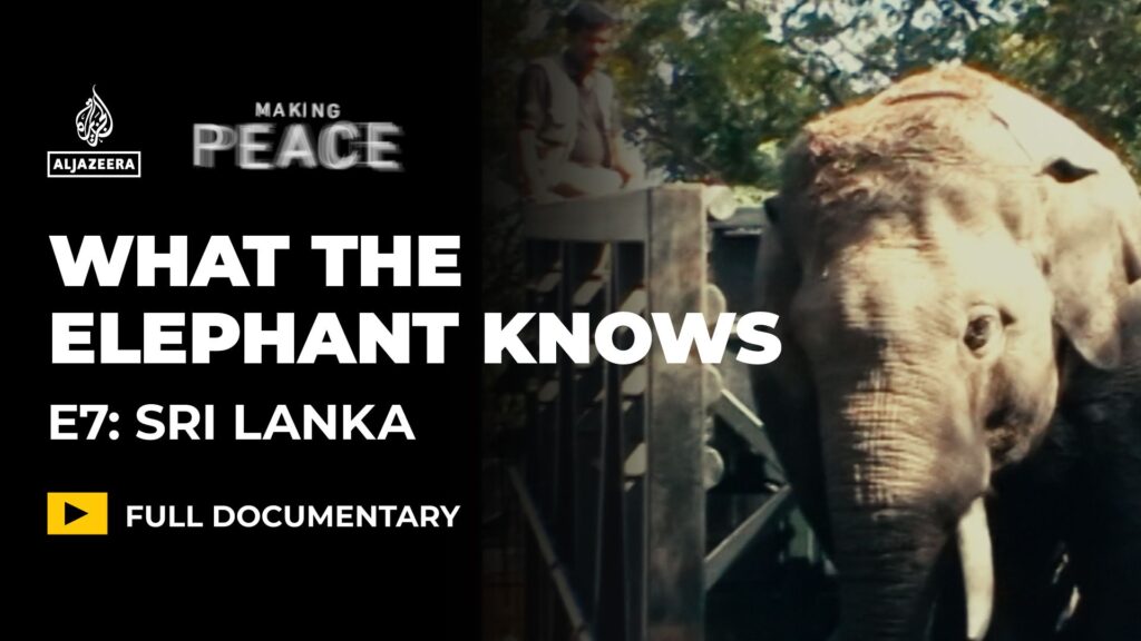 what-the-elephant-knows-|-ep-7-–-sri-lanka