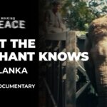 what-the-elephant-knows-|-ep-7-–-sri-lanka