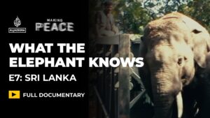 what-the-elephant-knows-|-ep-7-–-sri-lanka