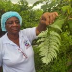 how-colombia’s-traditional-midwives-serve-as-lifelines-to-rural-communities