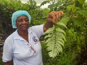 how-colombia’s-traditional-midwives-serve-as-lifelines-to-rural-communities