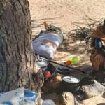 escaping-darfur:-mothers-face-starvation-under-trees-in-chad