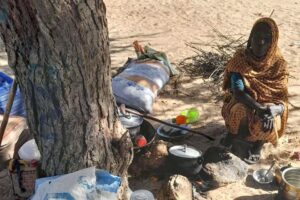 escaping-darfur:-mothers-face-starvation-under-trees-in-chad