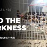 into-the-darkness