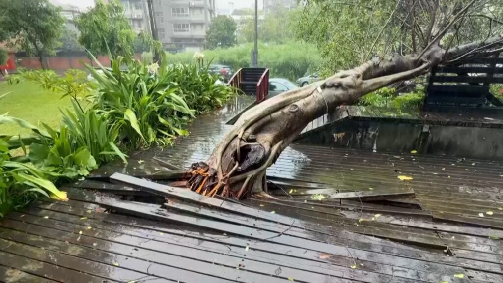 china-prepares-as-typhoon-bavi-leaves-taiwan