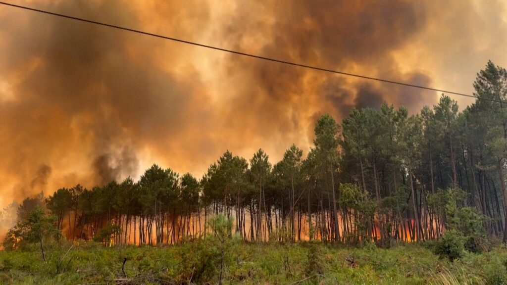 bordeaux-wildfire-burns-3,100-hectares,-20,000-evacuated